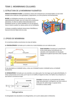 Membranas celulares