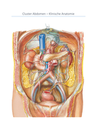 Samenvatting / Uittreksel Lectures: Cluster Abdomen Schriftelijke Toets