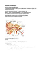 Anatomy and physiology of the ear 