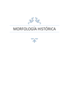 Morfología Histórica del Español