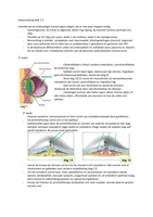 Samenvatting MLW blok 2.3