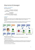 Bundel complete kwalitatieve samenvattingen Bewegingswetenschappen