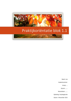 Praktijkoriëntatie 1.1 PO MGZ