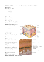 Biomedisch College 10 Bind- en steunweefsel deel 5