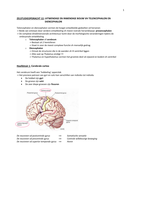 ZSO 12 - Uitwendige en inwendige bouw vh telencephalon en diencephalon