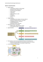 Samenvatting Plantenfysiologie Deeltentamen 1