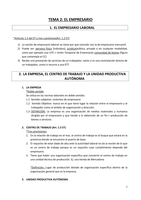 APUNTES TEMA 2 DERECHO DEL TRABAJO 1