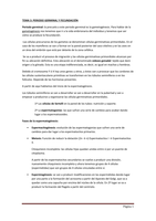 TEMA 3 ANATOMÍA: PERIODO GERMINAL Y FECUNDACIÓN