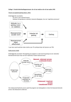 Samenvatting Risicogedrag & Verslaving in de adolescentie