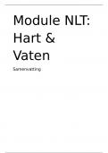 NLT Samenvatting module 'Hart en Vaten'