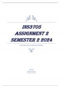 INS3705 Assignment 2 Semester 2 2024