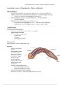 Invertebrates Lecture 2 Notes - Platyhelminthes, molluscs and annelids