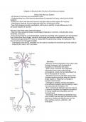 Chapter 2: Structure and Function of the Nervous System