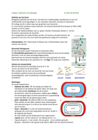 Samenvatting Medische Microbiologie compleet