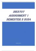 INS3707 Assignment 1 Semester 2 2024