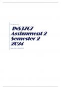 INS3707 Assignment 2 Semester 2 2024