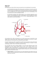 Deeltentamen 2: Patiëntdemonstraties Klinische Neuropsychologie