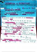 aqa alevel chemistry redox handwritten notes 