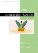 Beroepsproduct - Integrale beroepsopdracht (handeling) over opzetten van Portfoliomanagement - MBA - 7,2 inclusief beoordeling