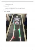 Body Systems - Anatomage Table Activity