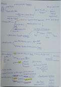 Mind Map PLATONISMO