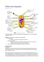 Maternale Adaptatie
