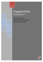 Portfolio stage 3