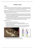 Basic Anatomy of Skeletal System class notes 