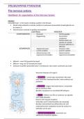 Samenvatting -  Stelselmatige fysiologie (D013092A)