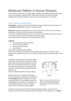 Summary MDHD - lectures by Prof. Dr. J. Brouwer