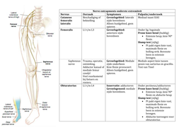 Nerve entrapments onderste extremiteit