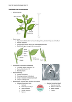 Samenvatting Plantenfysiologie (Beide Deeltentamens)