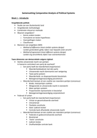 Samenvatting Comparative Analysis of Political Systems