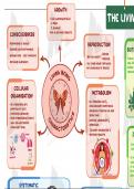 **Ultimate NEET Notes: Living World, Biological Classification, Morphology, and Anatomy of Plants**