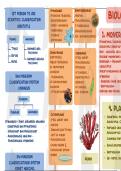 Biological classification short notes