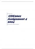 CDE2601 Assignment 4 2024