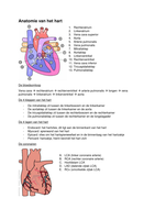 Samenvatting Keuzecursus Cardiovasculaire aandoeningen