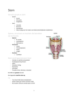 Stem samenvatting 