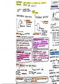 Summary -  Unit 8 - Energetics I 