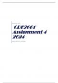 CDE2601 Assignment 4 2024