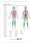 Anatomy & Physiology I With Lab (BIOS-251)/A&P 1 lab Exercise 1 - Lab worksheet