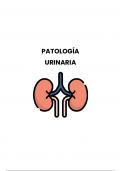 Patología Urinaria: Riñón, Uretéres, Vejiga y Uretra