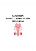 Patología del Aparato Reproductor Masculino