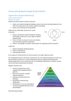 Samenvatting maatschappij en gezondheid