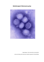 Beleidsrapport Microbiologie over Mexicaanse griep 