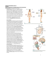 Block 3.6: Complete abstract Neuropsychology