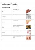 CIBTAC ANATOMY AND PHYSIOLOGY NEWEST 2024 ACTUAL EXAM COMLETE QUESTIONS ND CORRECT DETAILED ANSWERS