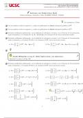 Ejercicios Algebra Lineal - Matrices