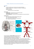 Colleges o.a. over hand, neurologie, hoofdpijn en CWK