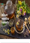 Eindpresentatie Allium mentha remedy 